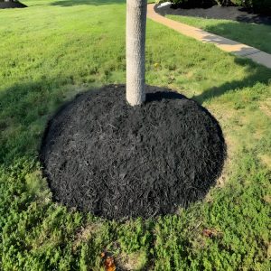 Outdoor solutions in Richmond, VA