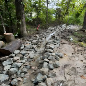 Outdoor solutions in Richmond, VA