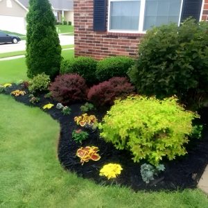 Outdoor solutions in Richmond, VA
