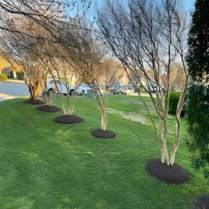 Outdoor solutions in Richmond, VA