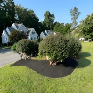 Outdoor solutions in Richmond, VA