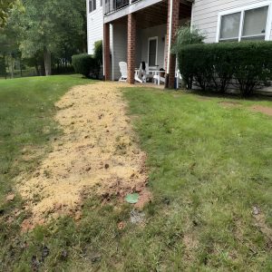 Outdoor solutions in Richmond, VA